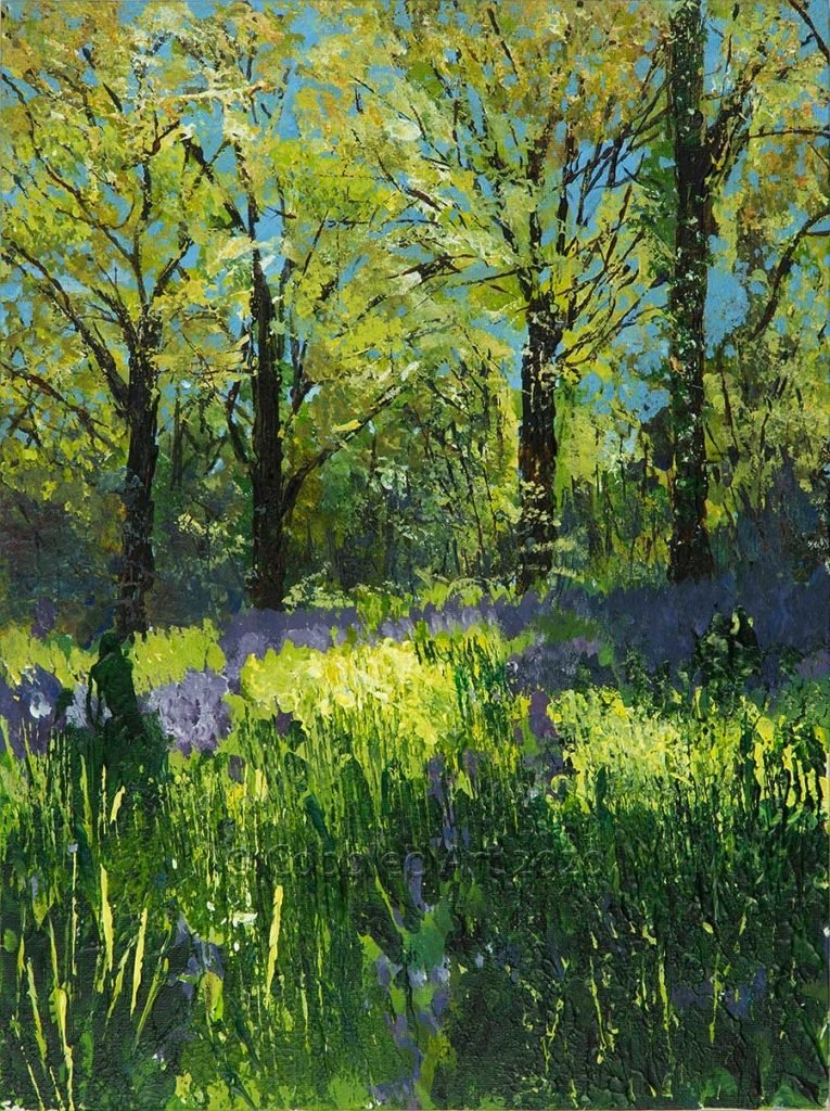 bluebells in a wood