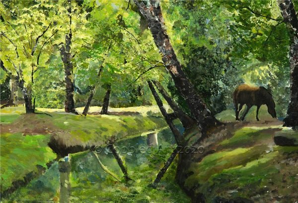 a horse eating grass on the banks of a river shaded by trees